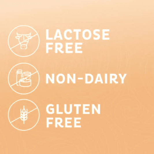 Nestle Coffee-Mate Coffee Non Dairy Creamer Powder 56 Oz - 2 Pack