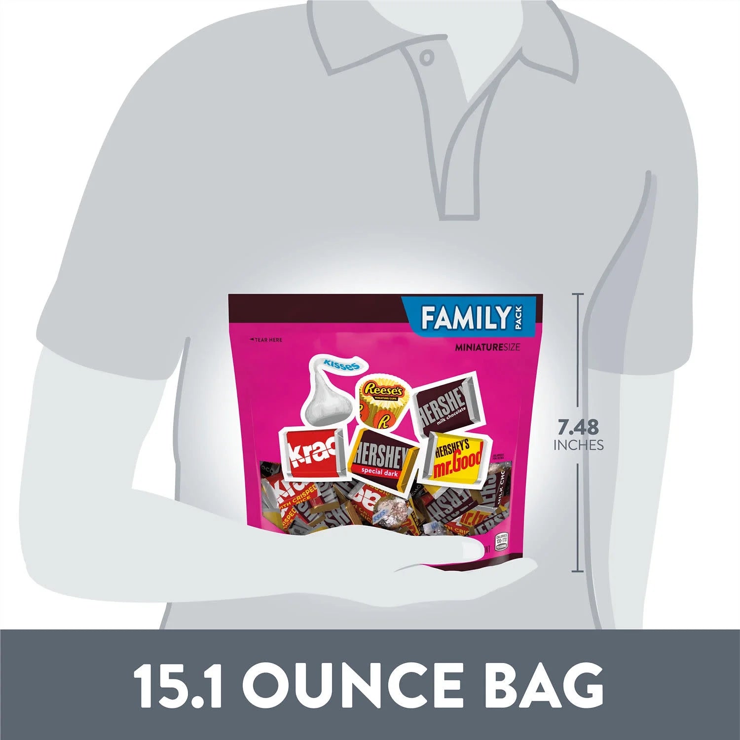 Miniatures Assorted Chocolate Candy, Family Pack 15.1 Oz