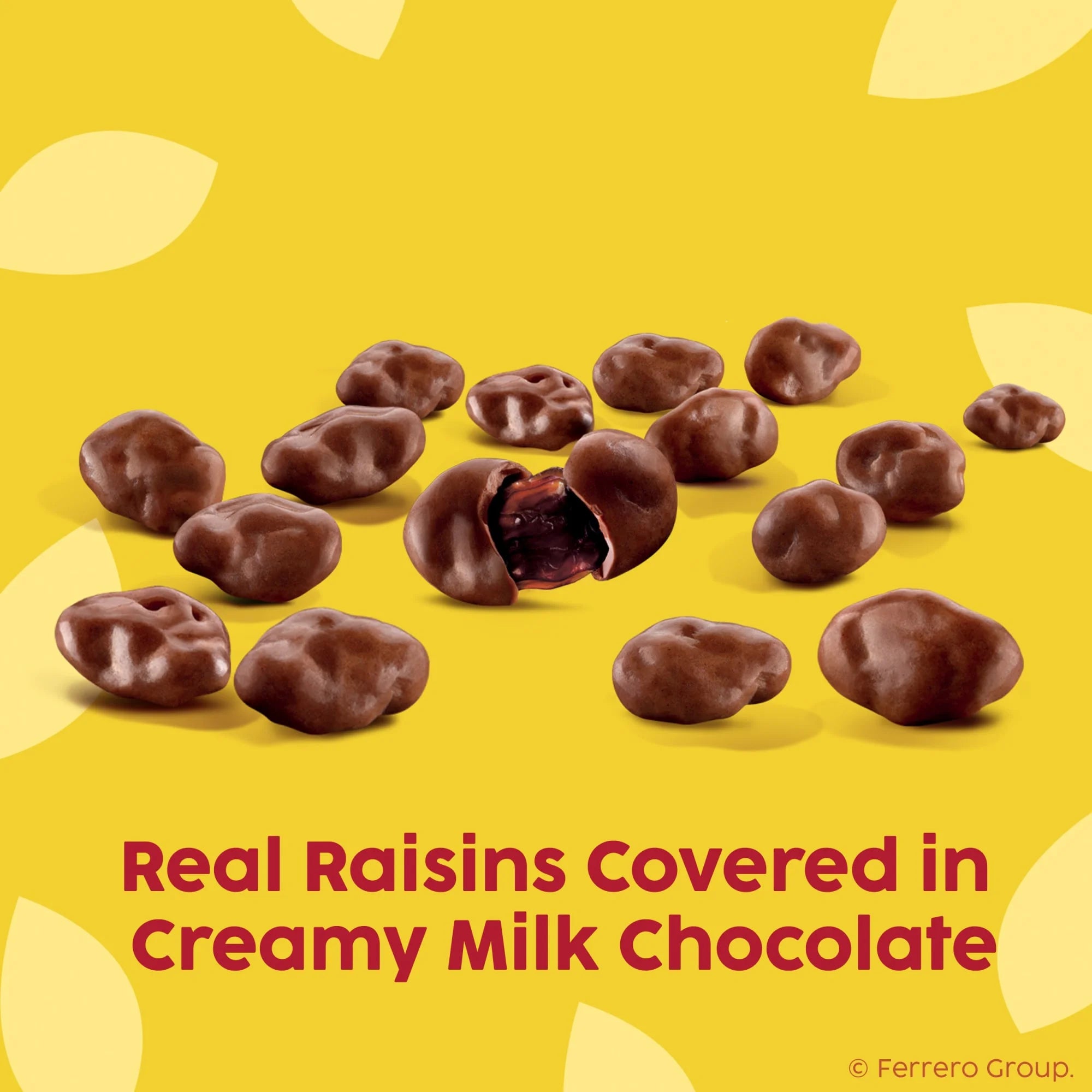 Milk Chocolate Covered Raisins 8.0 Oz