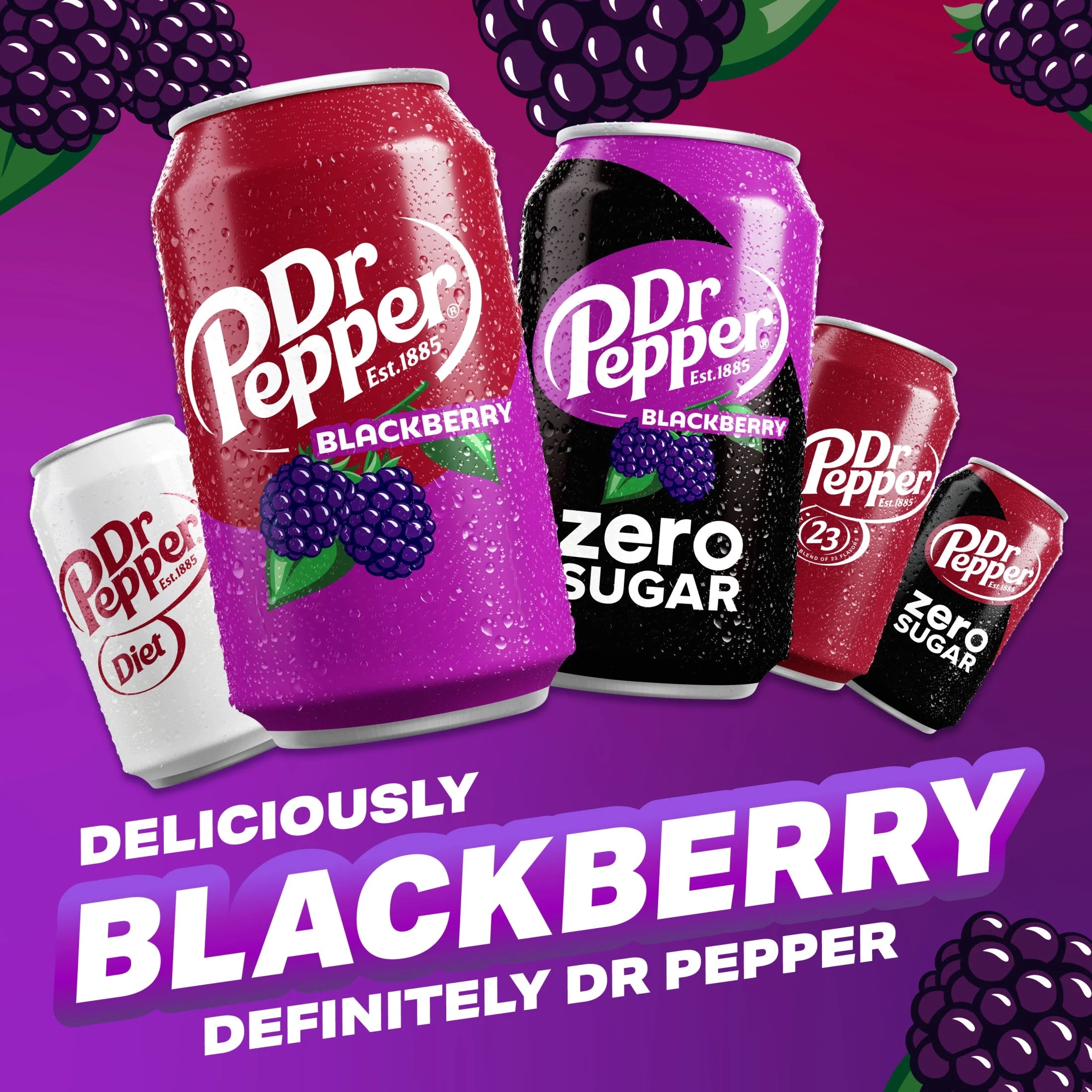 Dr Pepper Blackberry Soda Pop, 12 Fl Oz, 12 Pack Cans